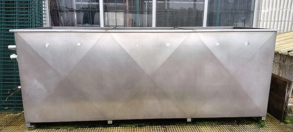 Carlos de las Cuevas, Saladero, Balsa de agua helada